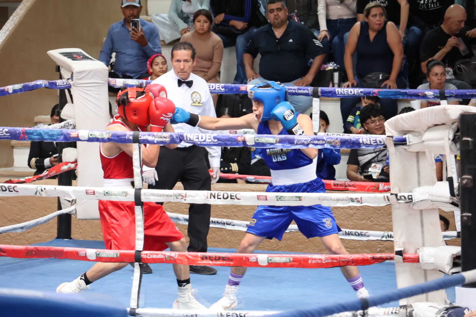 Boxeadores de UAS