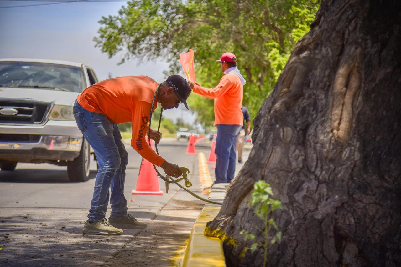 Colocan boyas, señalamientos de alto y pintan guarniciones en bulevar donde murieron dos automovilistas en Los Mochis