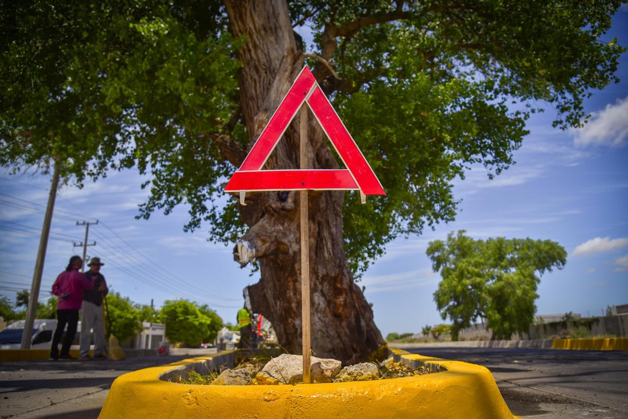 Colocan boyas, señalamientos de alto y pintan guarniciones en bulevar donde murieron dos automovilistas en Los Mochis