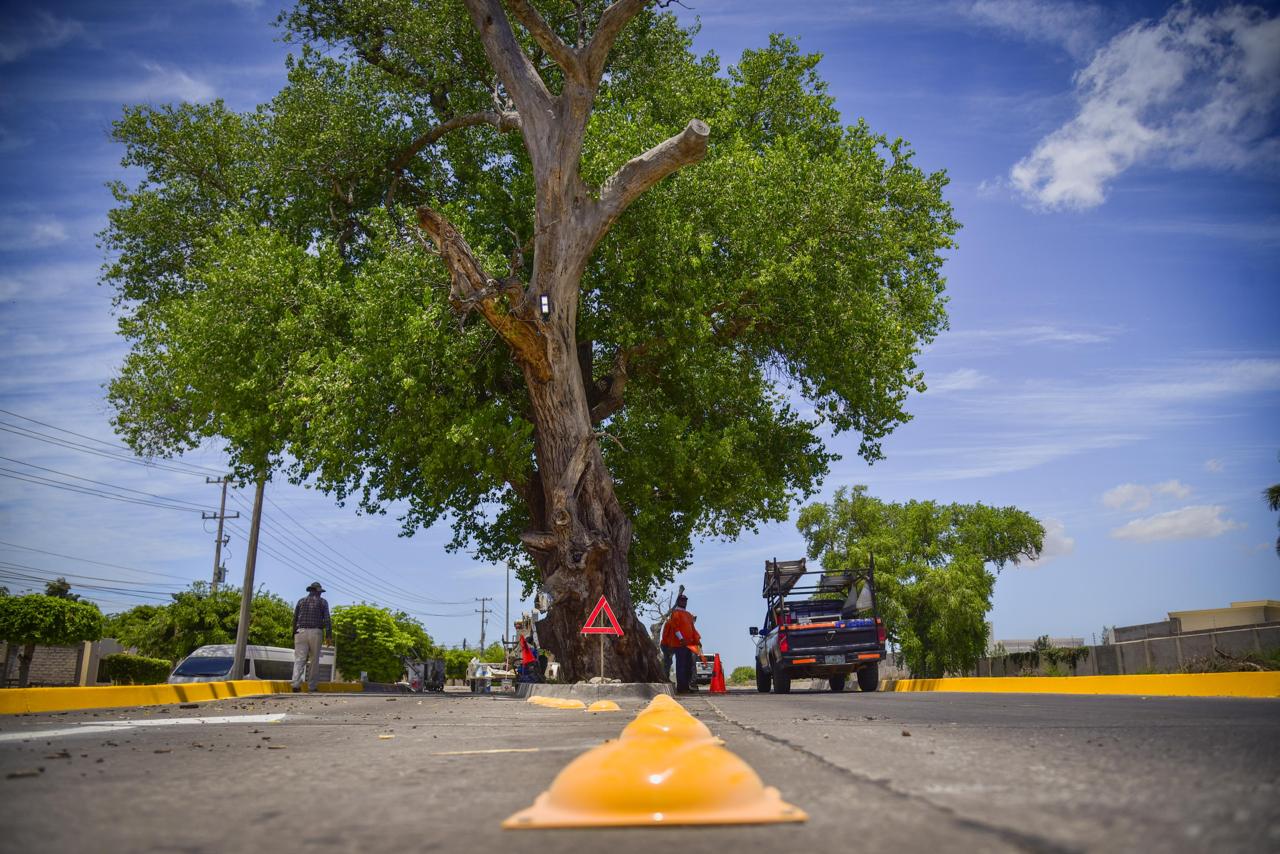 Colocan boyas, señalamientos de alto y pintan guarniciones en bulevar donde murieron dos automovilistas en Los Mochis