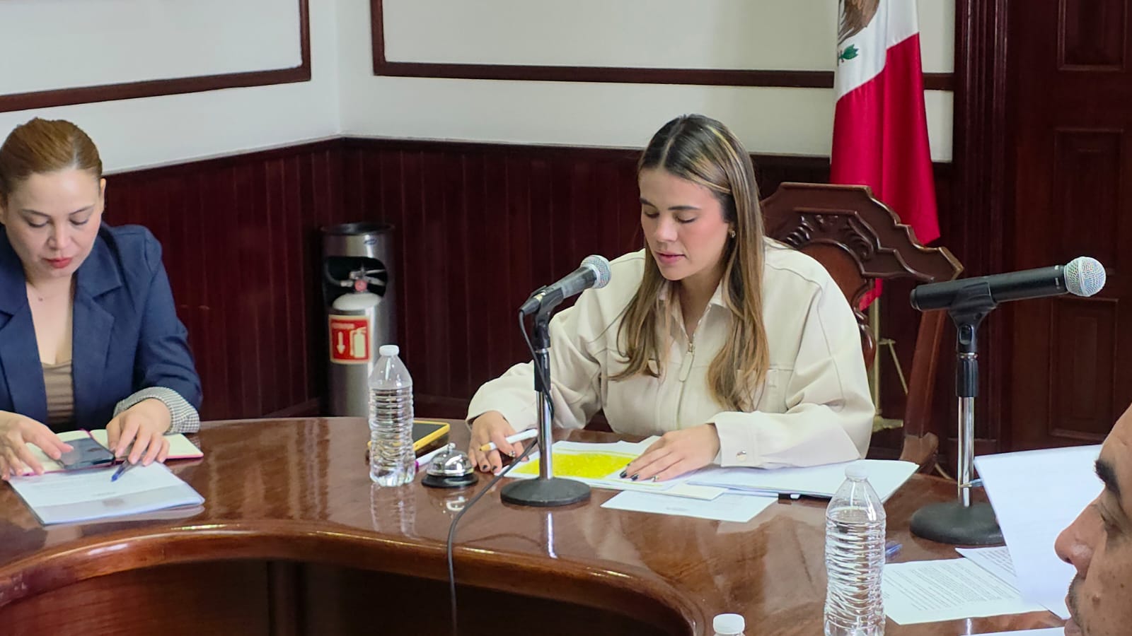 Ana Miriam Ramos Villarreal