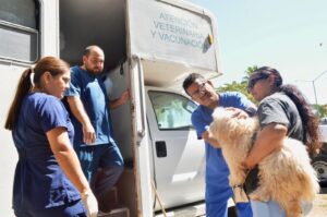 Camión esterilizador de mascotas en Mazatlán