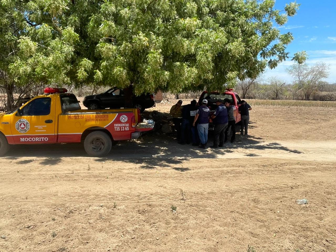 Combaten incendio en cerro de Mocorito, Sin.