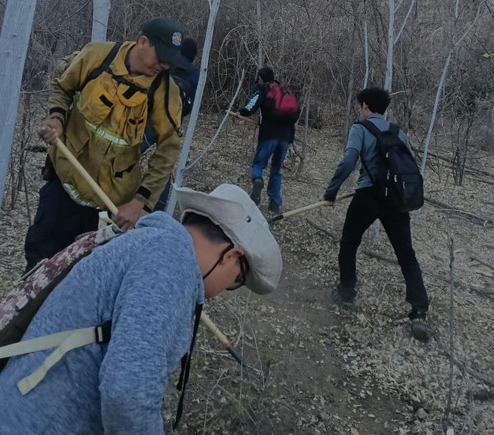 Combaten incendio en cerro de Mocorito, Sin.
