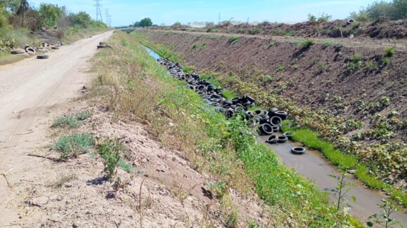 Módulo de riego denuncia que empresa arroja llantas viejas a drenes de Ahome, Sinaloa
