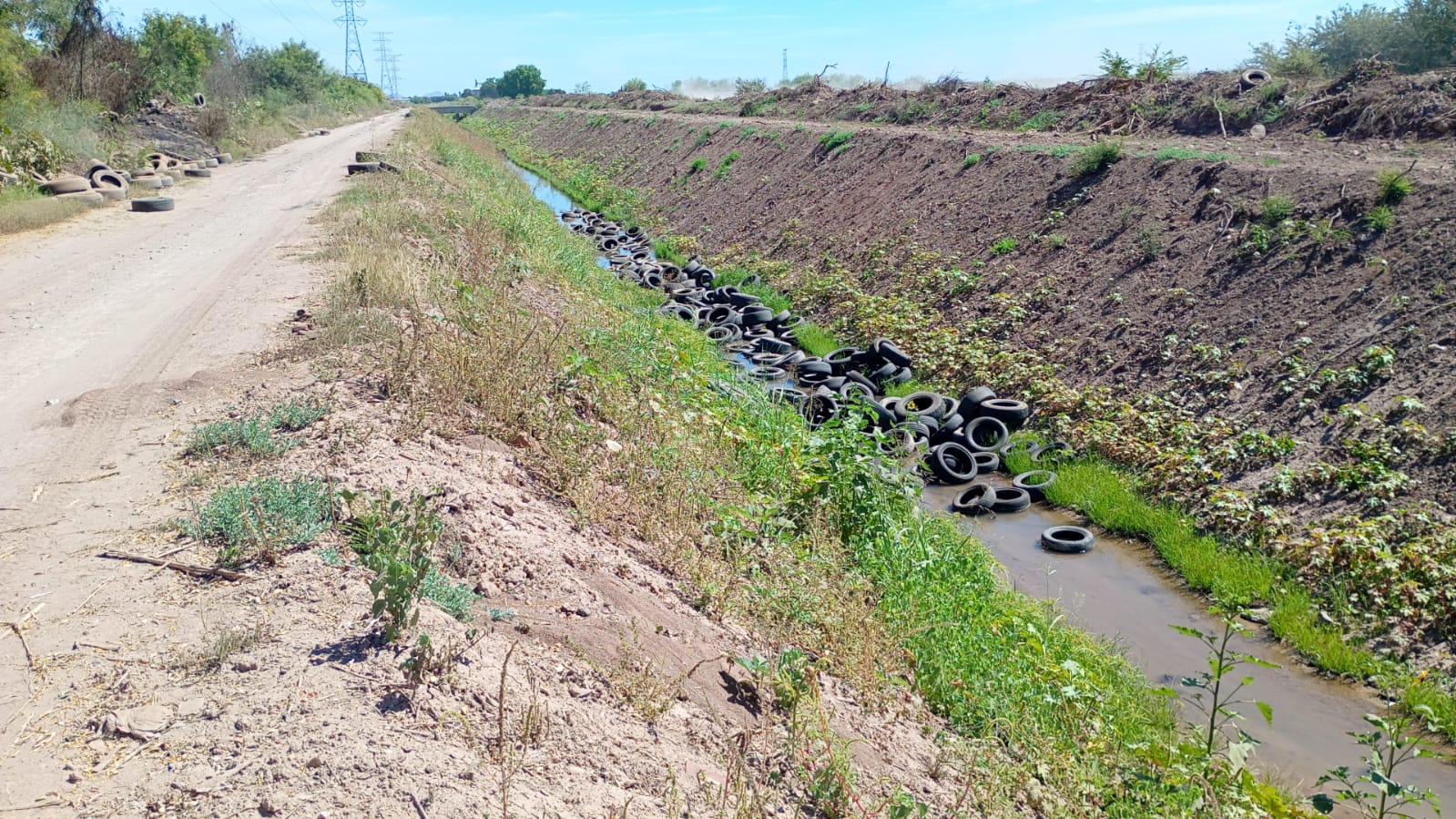 Denuncian que empresa arroja llantas a drenes de Ahome