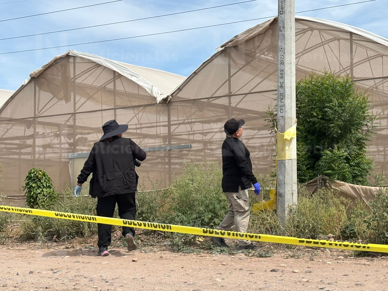 ocalizan cadáver encobijado y en descomposición en el Campo Moroleón en Aguaruto, Culiacán