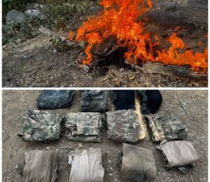 Ejército destruye más de 100 explosivos en Badiraguato