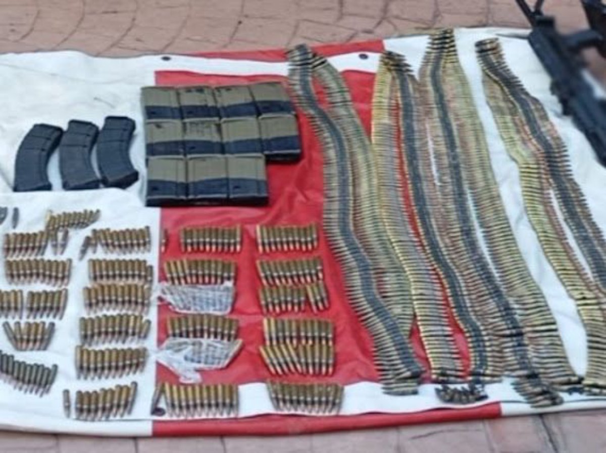 Armas largas, cargadores y cartuchos útiles