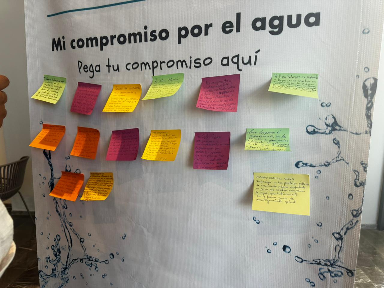 Nacen las ‘Plumas Azules’ en Mazatlán