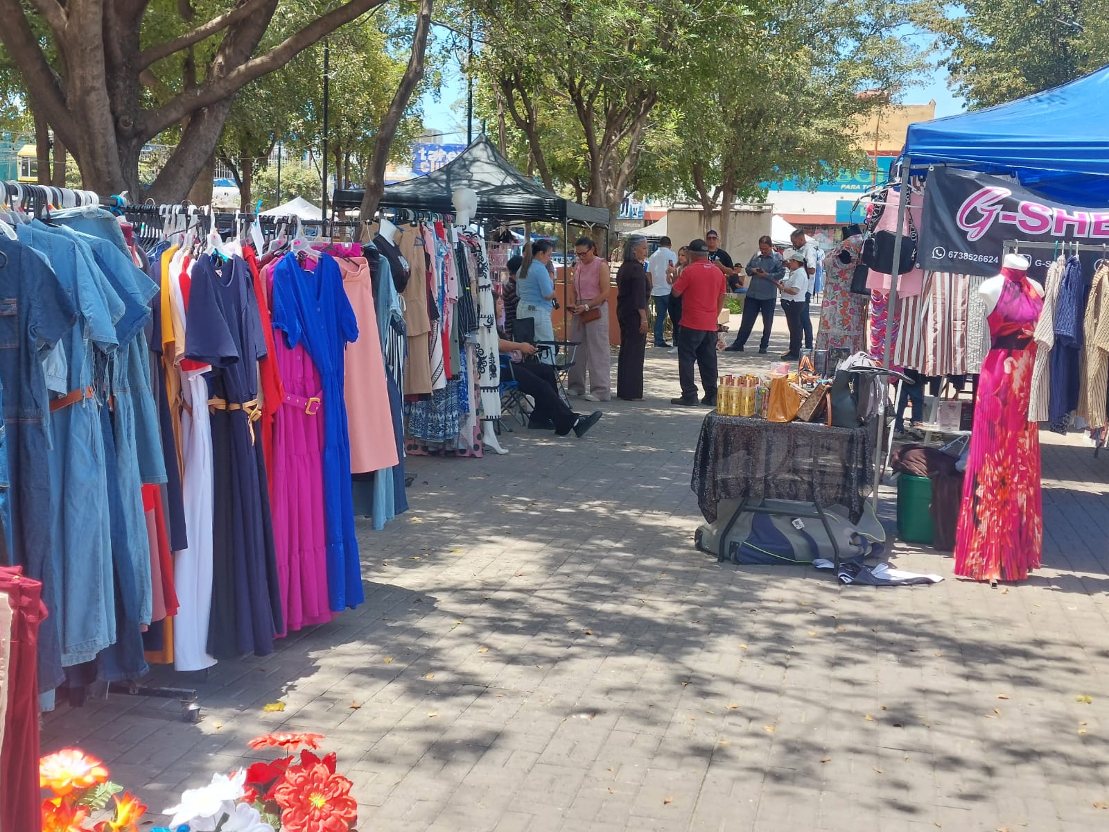 Festival de las Liquidaciones en Salvador Alvarado