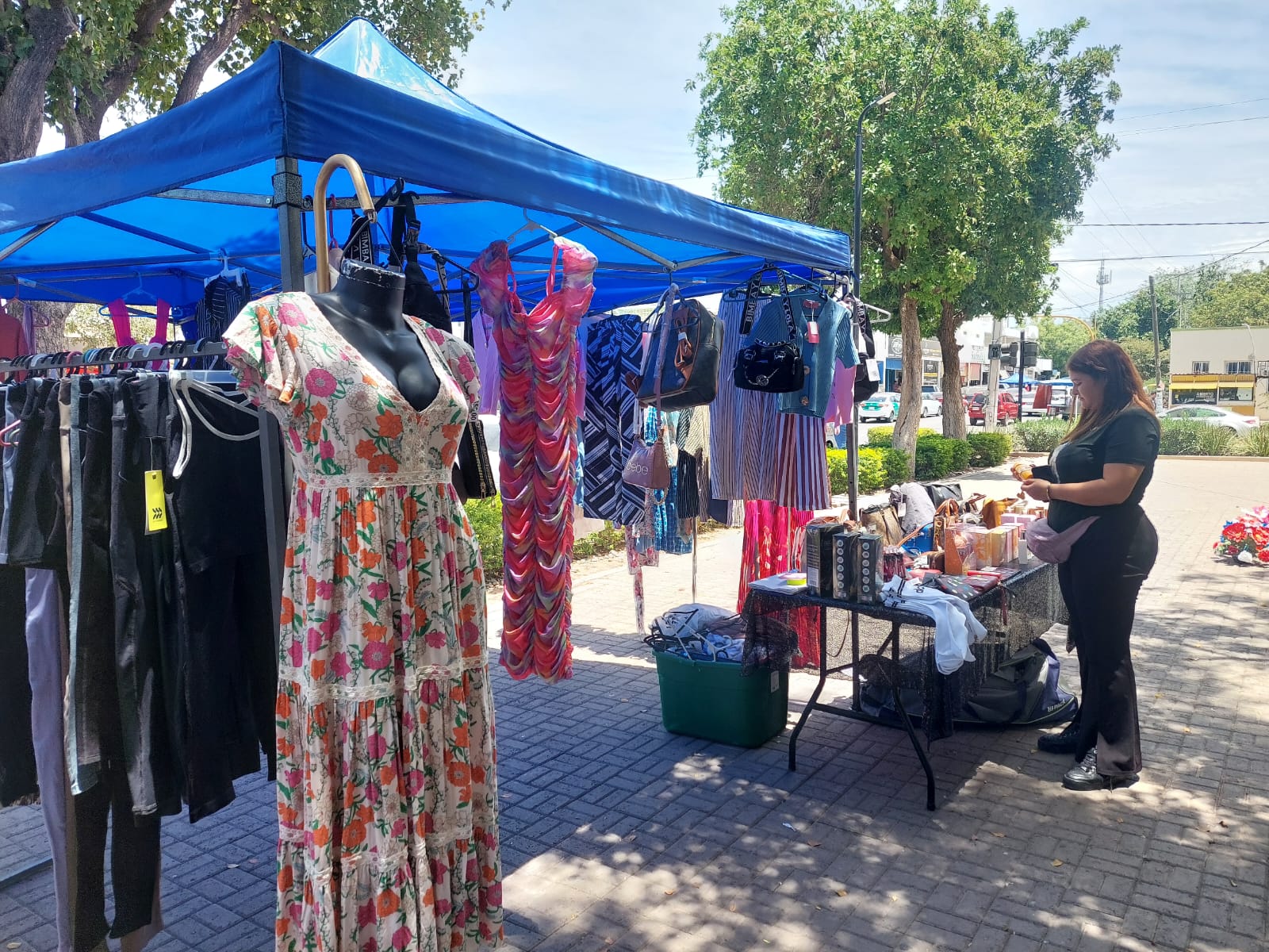 Festival de las Liquidaciones en Salvador Alvarado