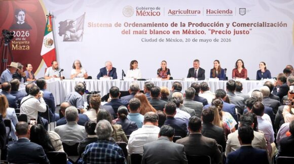 Presenta gobierno de Sheinbaum ‘Precio Justo’, sistema de ordenamiento del maíz blanco, para Sinaloa y otros estados
