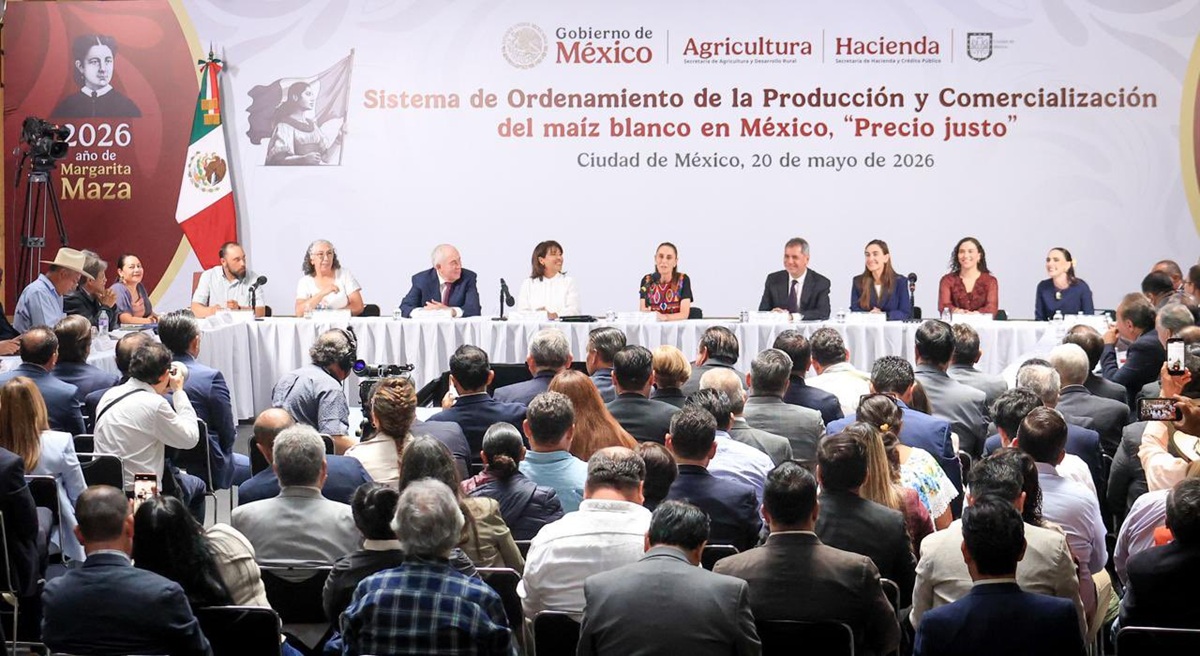Firma de sistema de ordenamiento para el maíz blanco