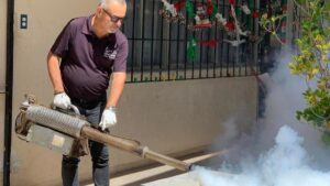 fumigacion por moscos en ahome