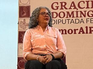 Diputada federal de Morena, Graciela Domínguez Nava