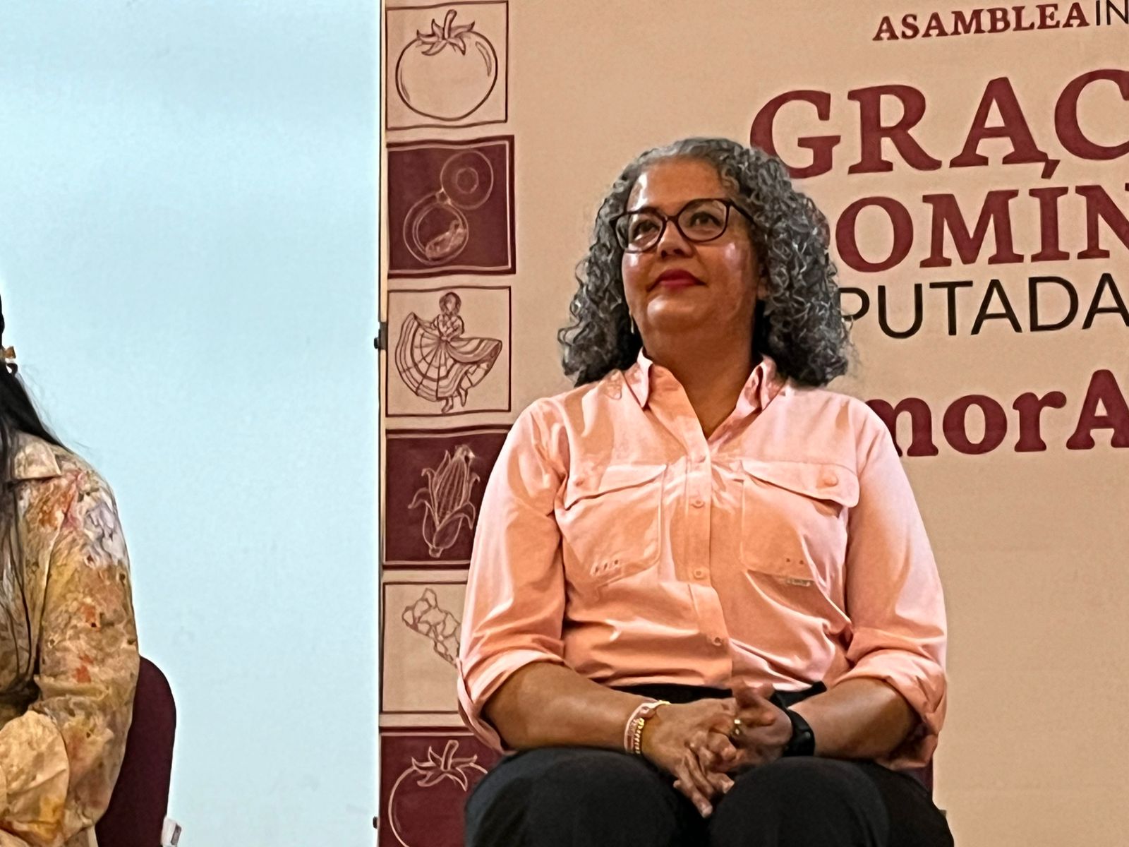 Diputada federal de Morena, Graciela Domínguez Nava