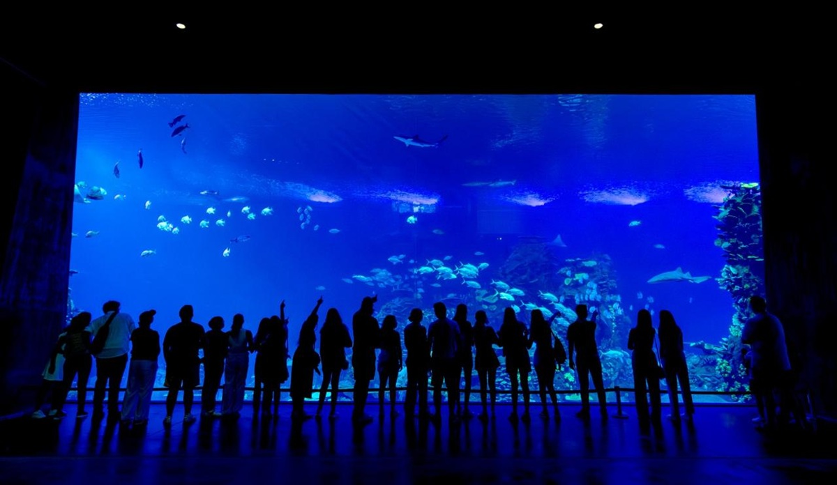 Gran Acuario Mazatlán