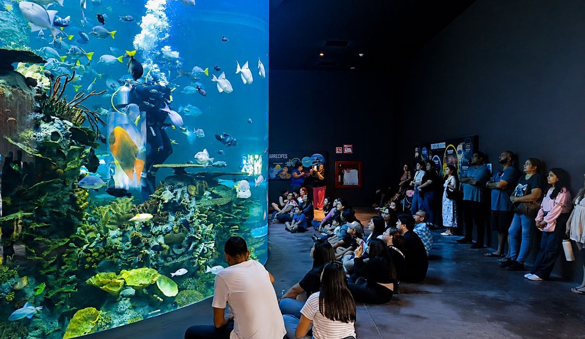 Gran Acuario Mazatlán