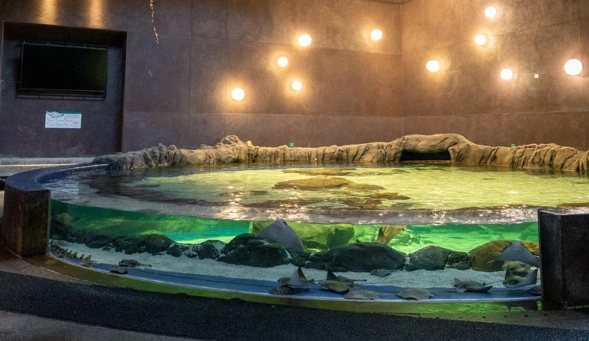 Gran Acuario Mazatlán