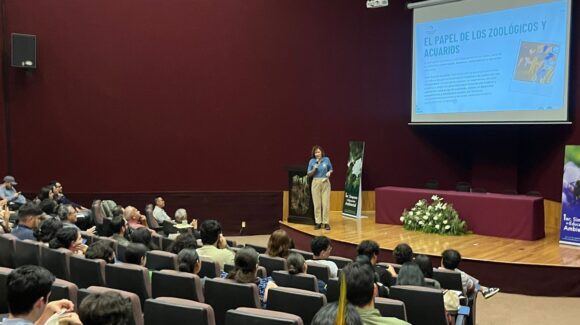 Mazatlán, Sinaloa, será la capital de la educación ambiental; Gran Acuario reunirá a expertos de todo México