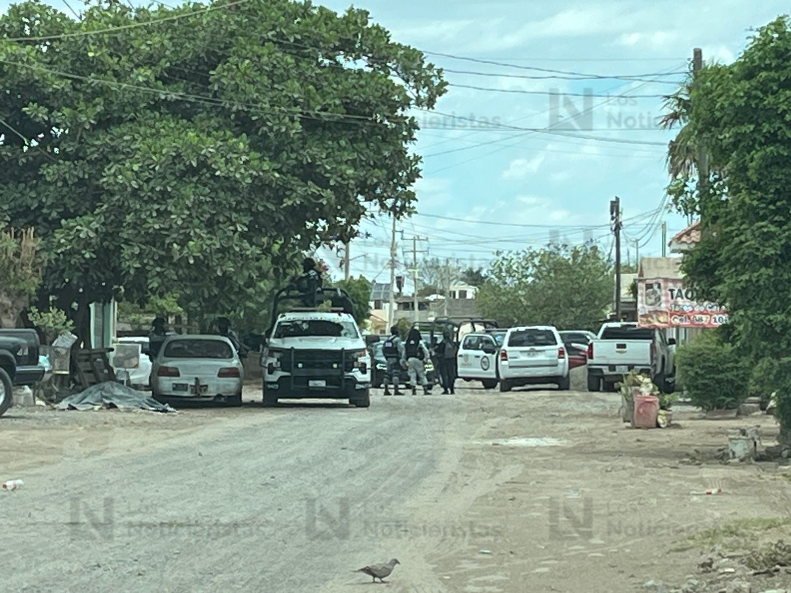 Elementos de la Guardia Nacional y SSPC durante operativo y cateo de vivienda en Guasave