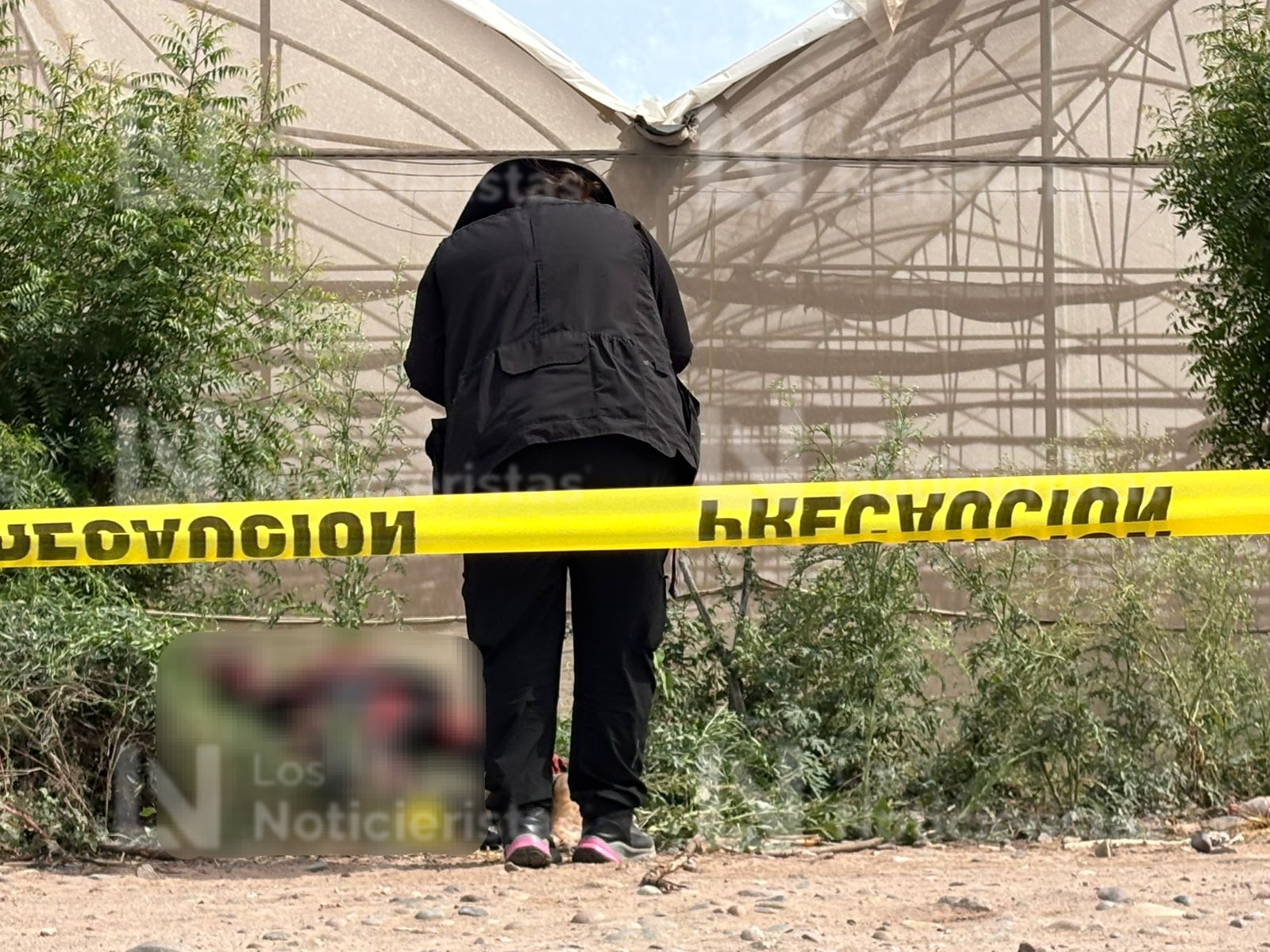ocalizan cadáver encobijado y en descomposición en el Campo Moroleón en Aguaruto, Culiacán