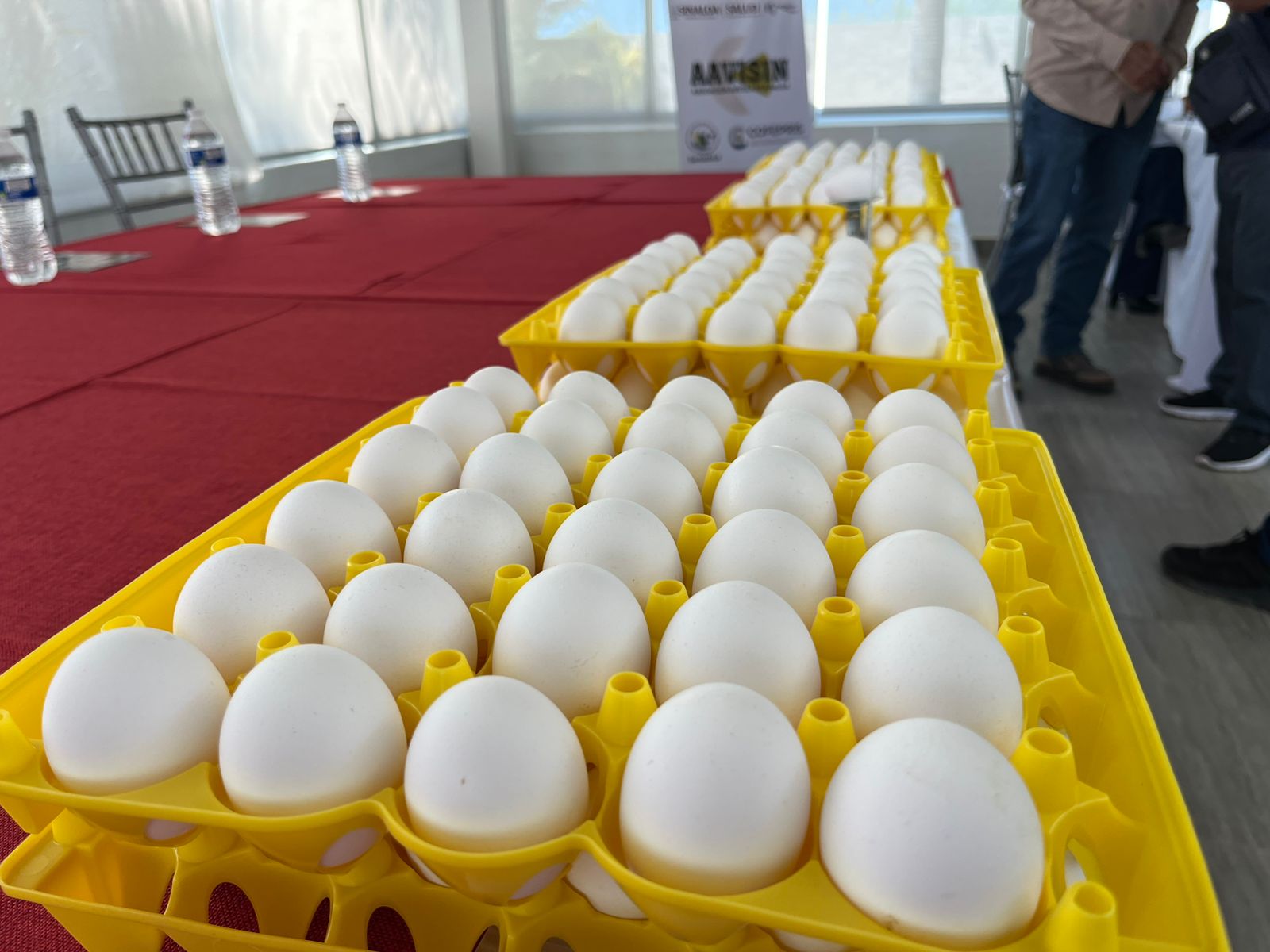 Huevos