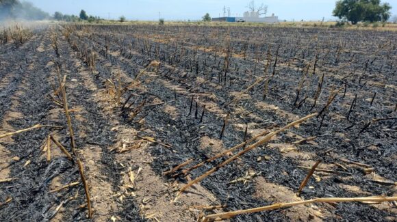 Fuerte incendio consume maquinaria y vehículos en granja camaronera de Angostura