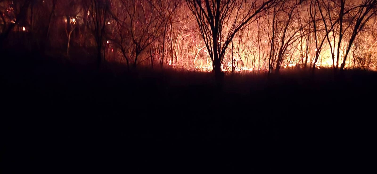 Incendio en el cerro La Piedra Bola, Mocorito
