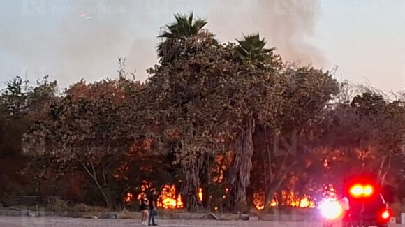Se detiene a una persona de aspecto indigente, pero se investiga si es o no causante de los incendios de Los Mochis: SSPyPC Ahome