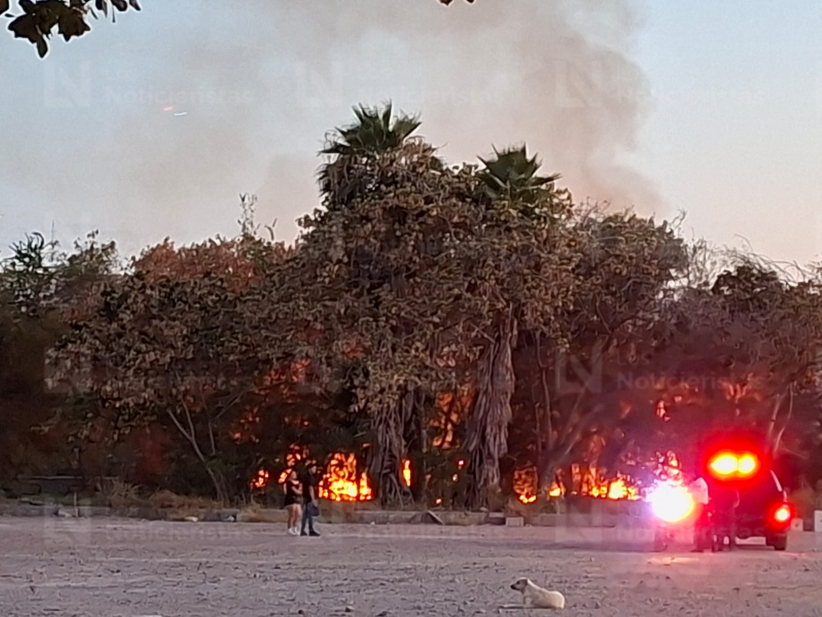 Incendio en patio de antiguo Ingenio Azucarero en Los Mochis
