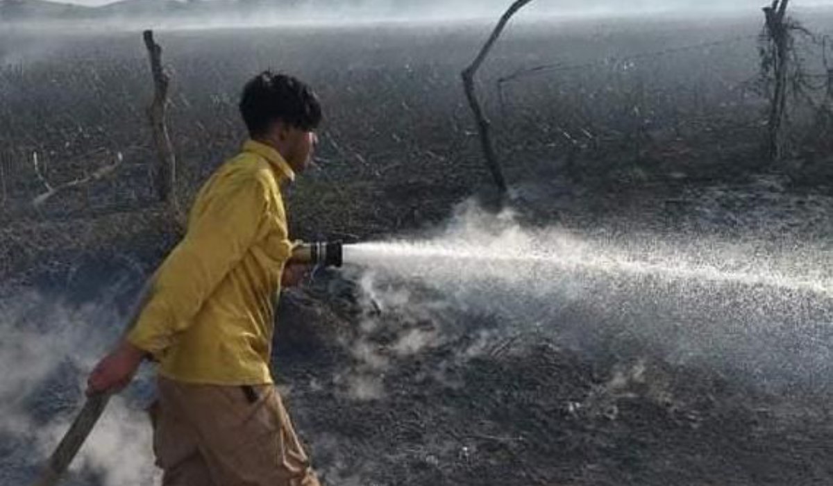 Incendio en predio agrícola