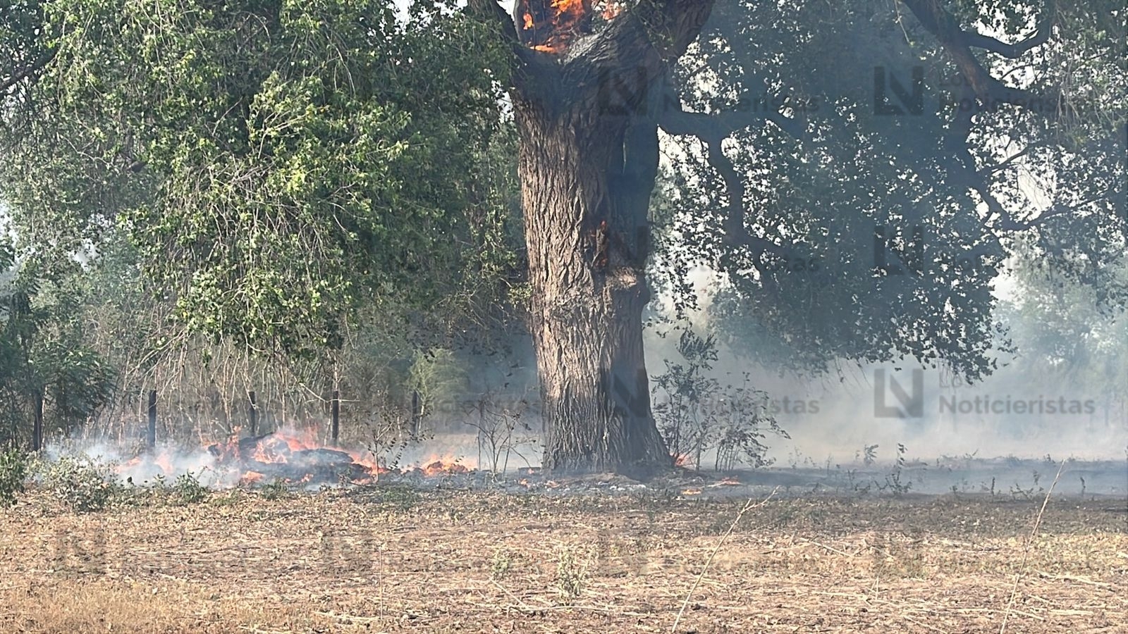 Incendio en rancho a la orilla del río Sinaloa, Guasave