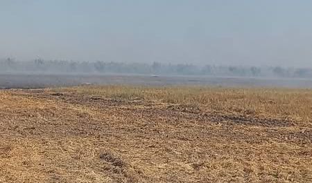 Incendio en pastizales y huertos de naranja en Sinaloa de Leyva
