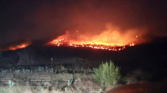 “Disminuyen incendios forestales en Sinaloa; solo van 15 este año”: Protección Civil Estatal