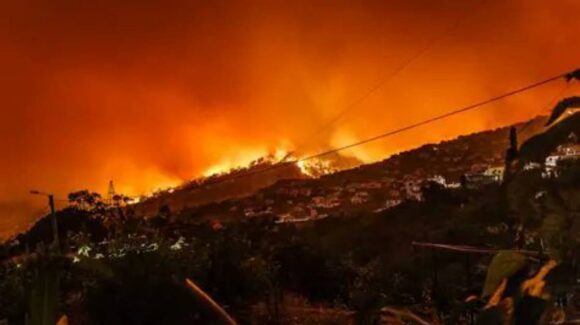Hay más de 17 mil evacuados por incendio forestal Sandy en California
