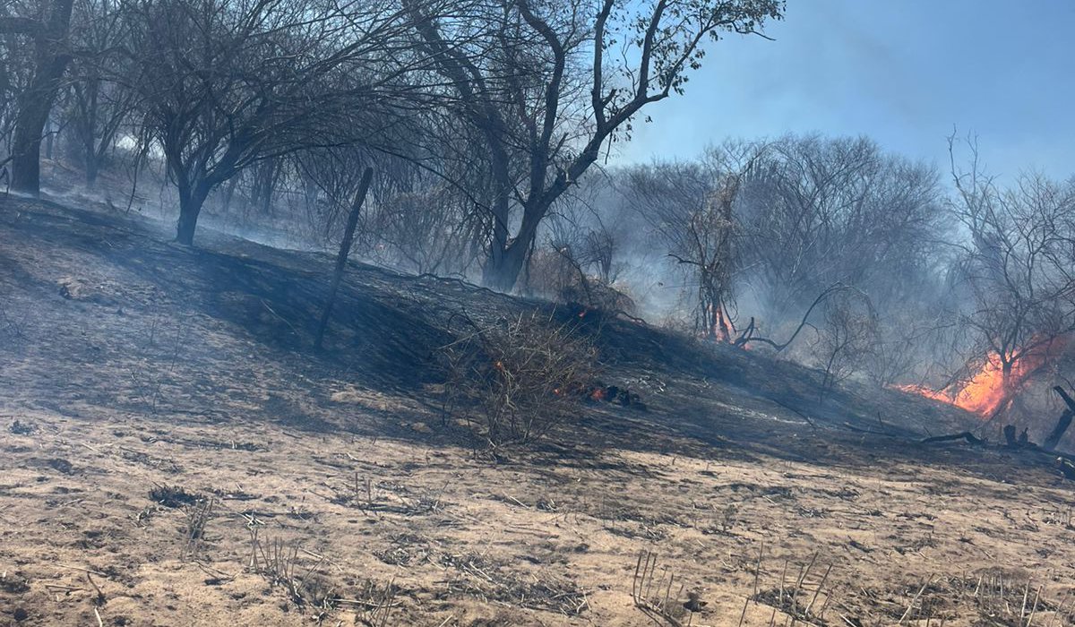 Incendio forestal en Choix, Sin.