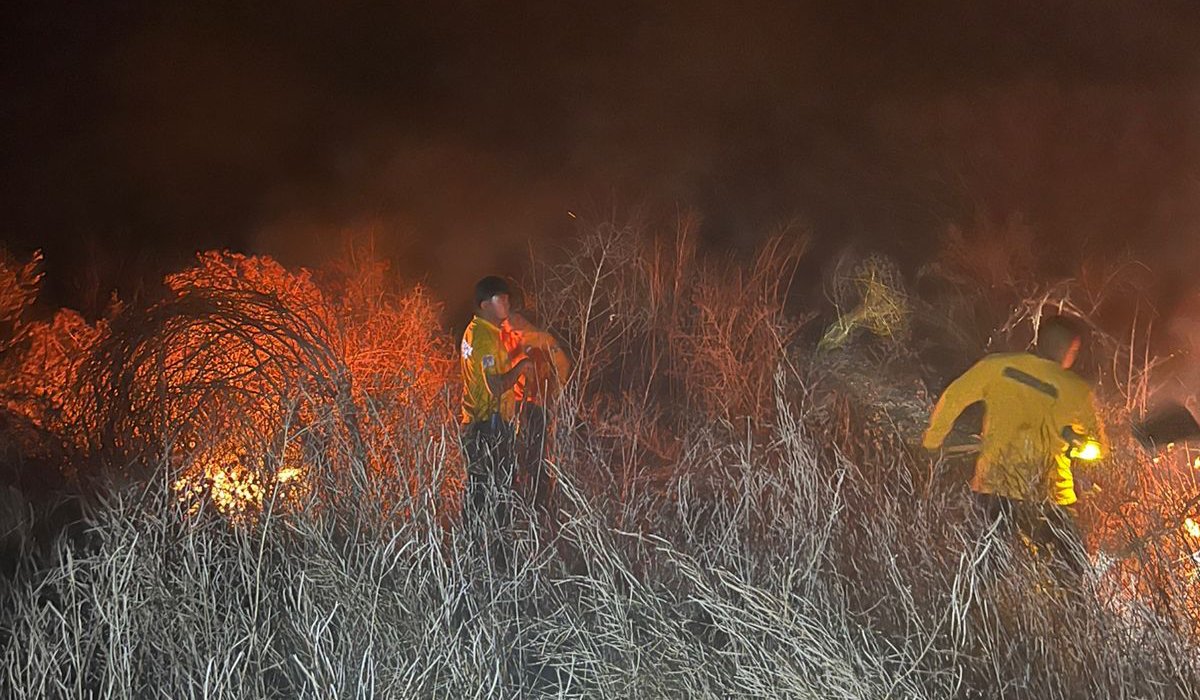 Incendio forestal en Choix, Sin.