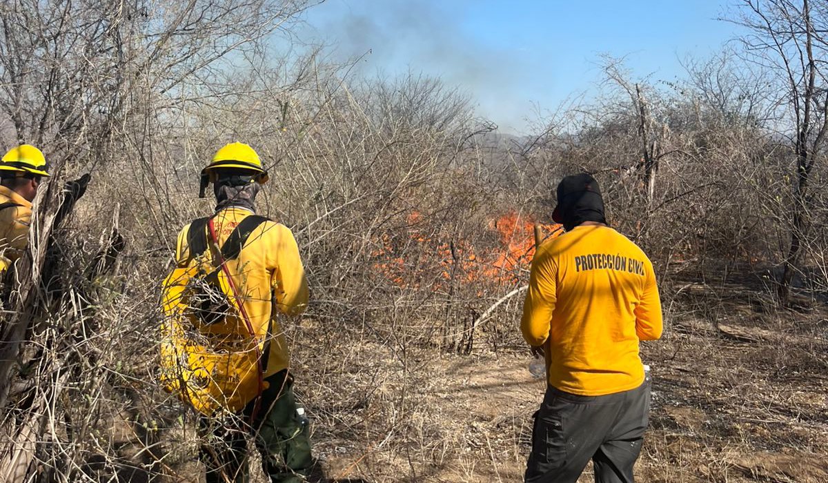 Incendio forestal en Choix, Sin.