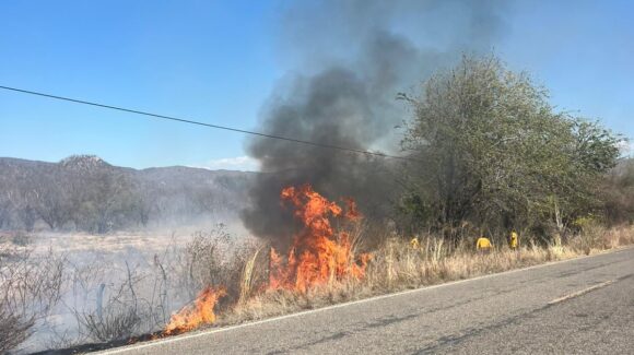 Incendios en Choix pudieron ser provocados, autoridades municipales califican ‘catastrófica’ la jornada de este martes