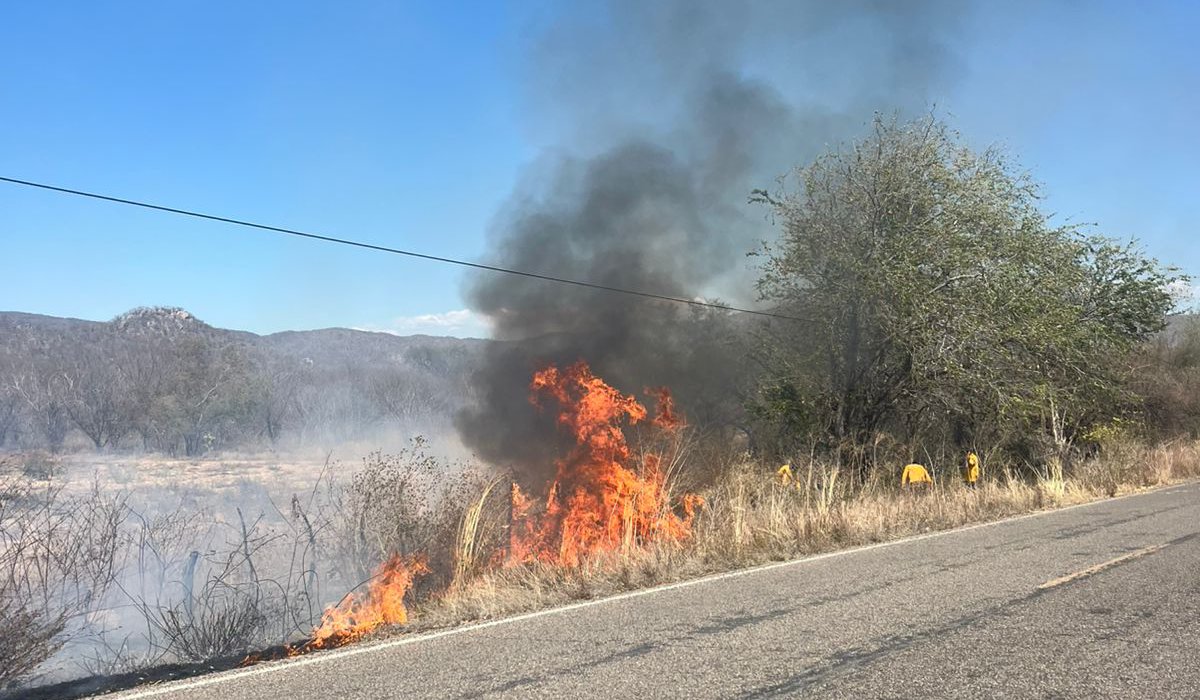 Incendio forestal en Choix, Sin.