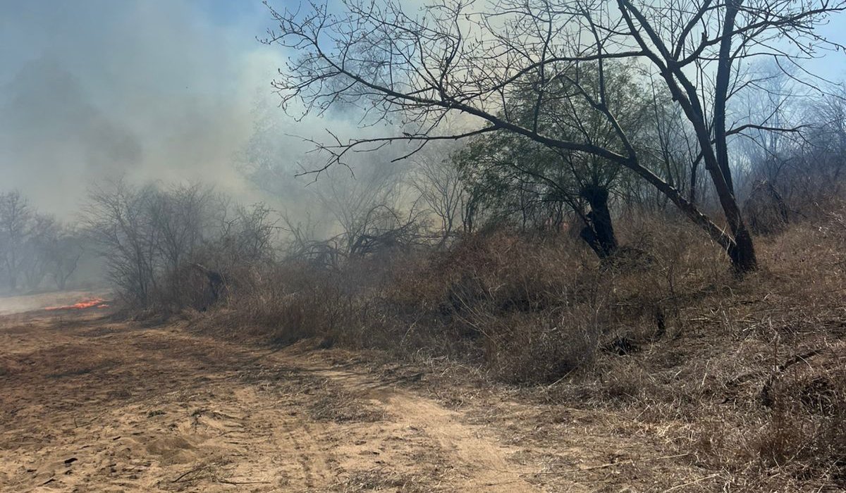 Incendio forestal en Choix, Sin.