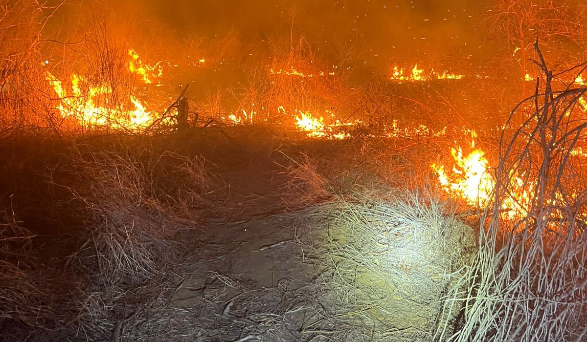 Incendio forestal en Choix, Sin.