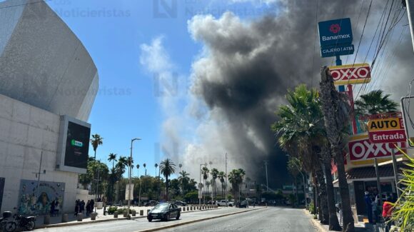 Se mantiene carpeta de investigación sobre incendio de Plaza Fiesta Las Palmas en Los Mochis con estricto apego a derecho: Vicefiscal