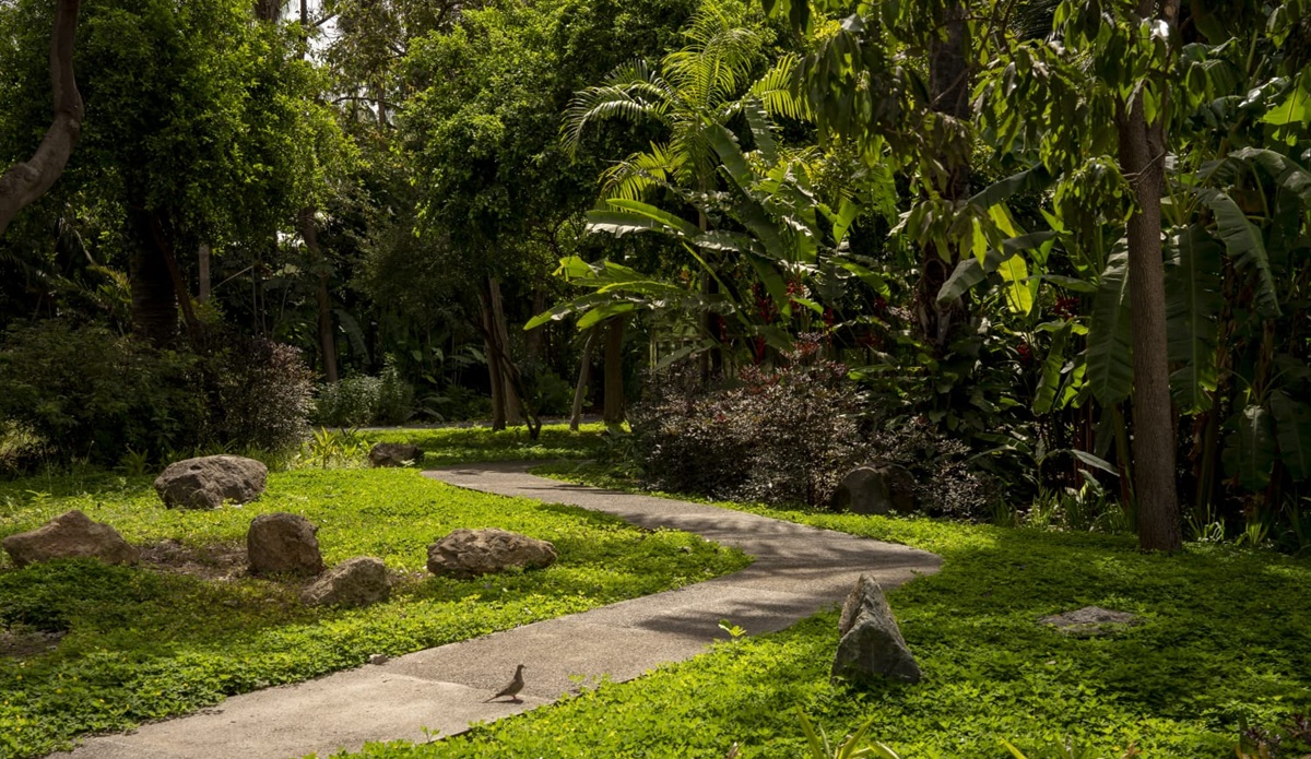 Jardín Botánico de Culiacán
