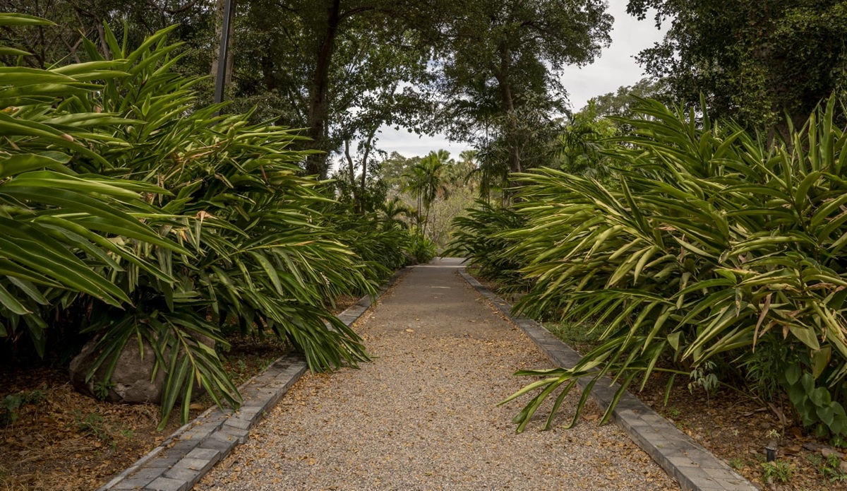 Jardín Botánico de Culiacán