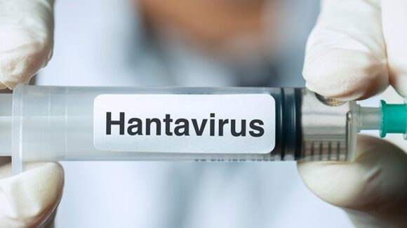 ¿Qué hay que saber del hantavirus? La enfermedad que se propagó en un crucero