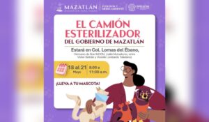 Jornada de esterilización en Mazatlán
