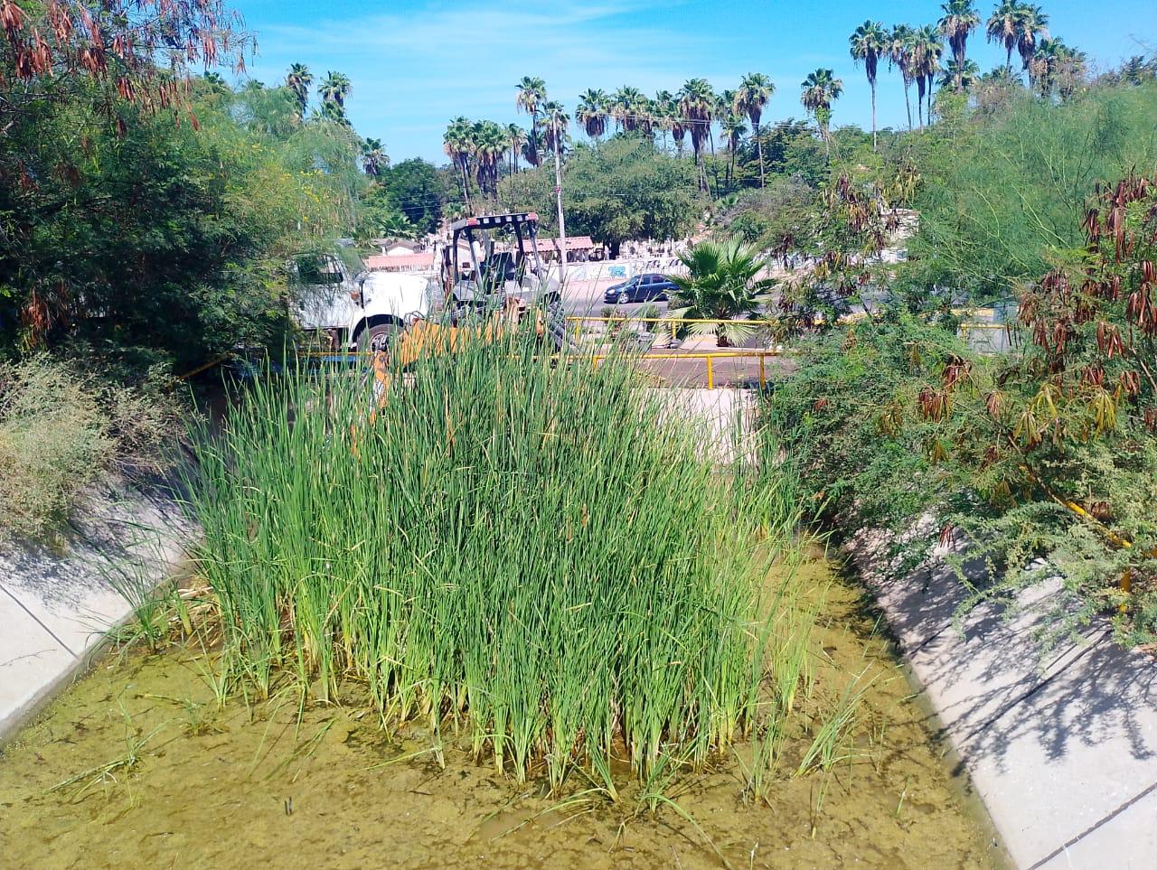 Limpian en Cerro de la Memoria